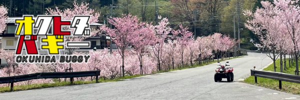 オクヒダバギー