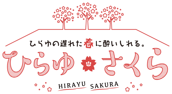 ひらゆの遅れた春に酔いしれる。ひらゆさくら