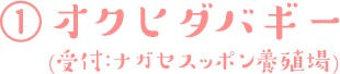 奥飛騨バギー